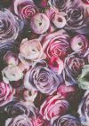 Rose Blush – Printed Edible Icing Sheet