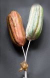 Closed Pod Mould – Berries, Pods & Fillers