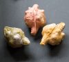 Cyprus S/S Mould – Berries, Pods & Fillers