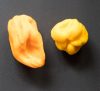 Peppers Mould – Berries, Pods & Fillers