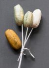 Pod Trio Mould – Berries, Pods & Fillers