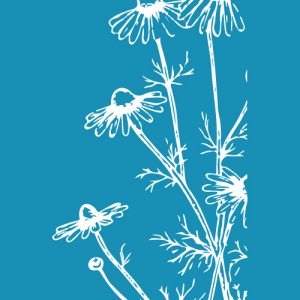 Daisies in the wind - Mesh Stencil