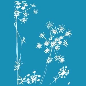 Dandelion - Mesh Stencil