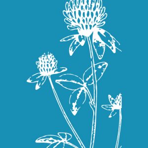 Veld Flowers - Mesh Stencil