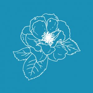 Perfumed Rose - Mesh Stencil