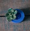 Desert Rose - Bas-Relief Embellishment