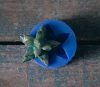 Little Jewel - Bas-Relief Embellishment