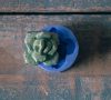 Moonshine - Bas-Relief Embellishment
