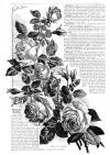 Pearl of the Garden - FurniStik