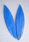 Universal Leaf - Veiner