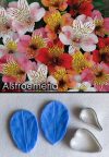 Alstroemeria - Veiner & Cutter