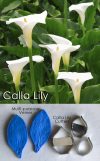 Calla Lily - Veiner & Cutter