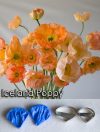 Iceland Poppy - Veiner & Cutter