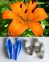 Tiger Lily - Veiner & Cutter