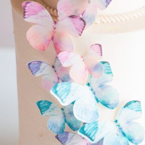Joy Butterfly Cakes WEB-5