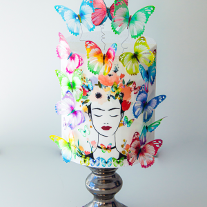 Colour-Splash-butterfly-full-cake