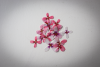 Make - a - Cosmos Wafer Paper Flower Kit