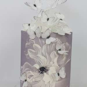 Full-White-butterfly-cake