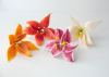 Make-a-Tiger Lilly Flower