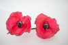 Poppies
