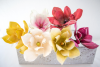 Make-a-Magnolia