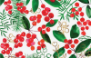 Under The Mistletoe – Edible Icing Sheet