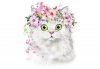 Kitty Cat