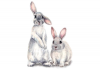 Little Bunnies
