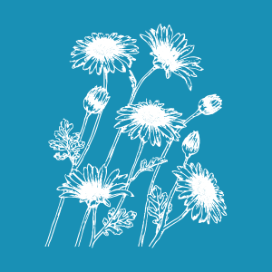 Sunflower Field - Mesh Stencil
